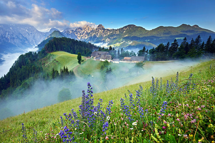 Panoramska cesta - Na Klemenškovem razgledišču