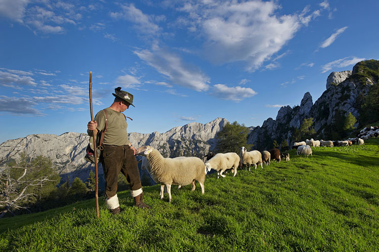 Planinski pašnik v Grohotu