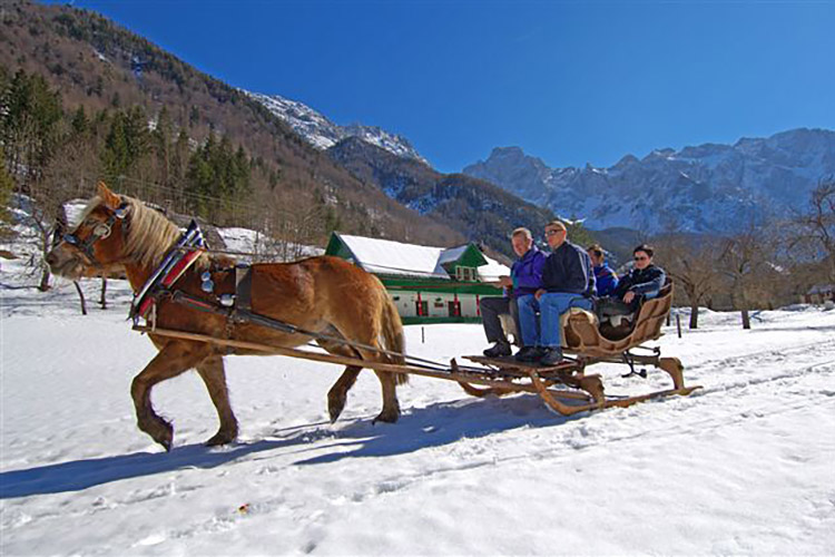 Horse-drawn sleigh ride