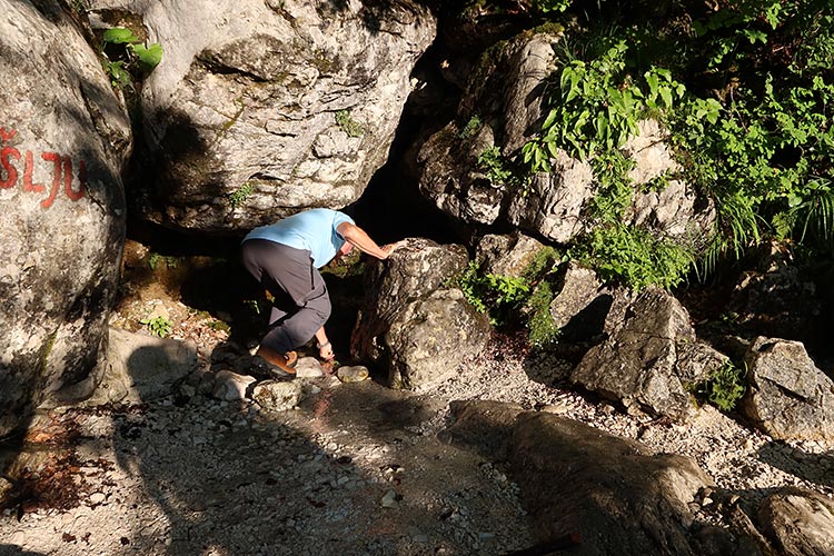 Source of the Savinja river